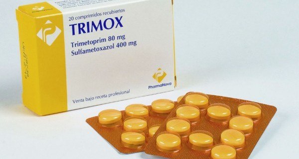 Amoxicilina 500 mg para que sirve